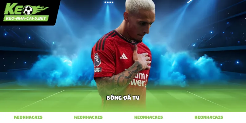 Theo dõi bóng đá tv trực tuyến chất lượng cao mỗi ngày