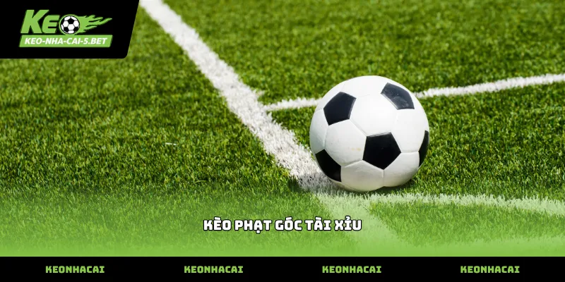Cách đọc chỉ số kèo phạt góc tài xỉu chính xác nhất