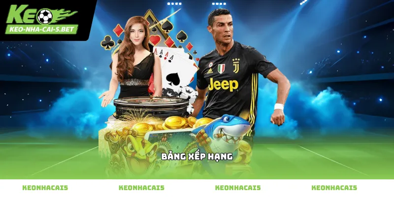 Theo dõi vị trí các đội trên Bảng xếp hạng bóng đá