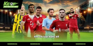 app cá cược bóng đá