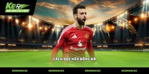 Hướng dẫn cách đọc kèo bóng đá tại sân chơi minh bạch