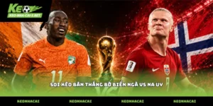 Kinh nghiệm soi kèo bàn thắng Bờ Biển Ngà vs Na Uy thực tế
