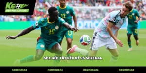 soi kèo tài xỉu bỉ vs senegal