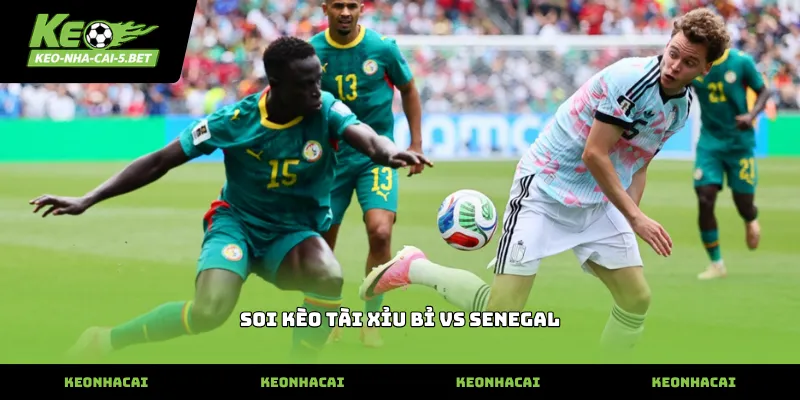soi kèo tài xỉu bỉ vs senegal