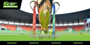 Thủ tục ghi nhận danh hiệu vua phá lưới aff cup 2026 chính xác